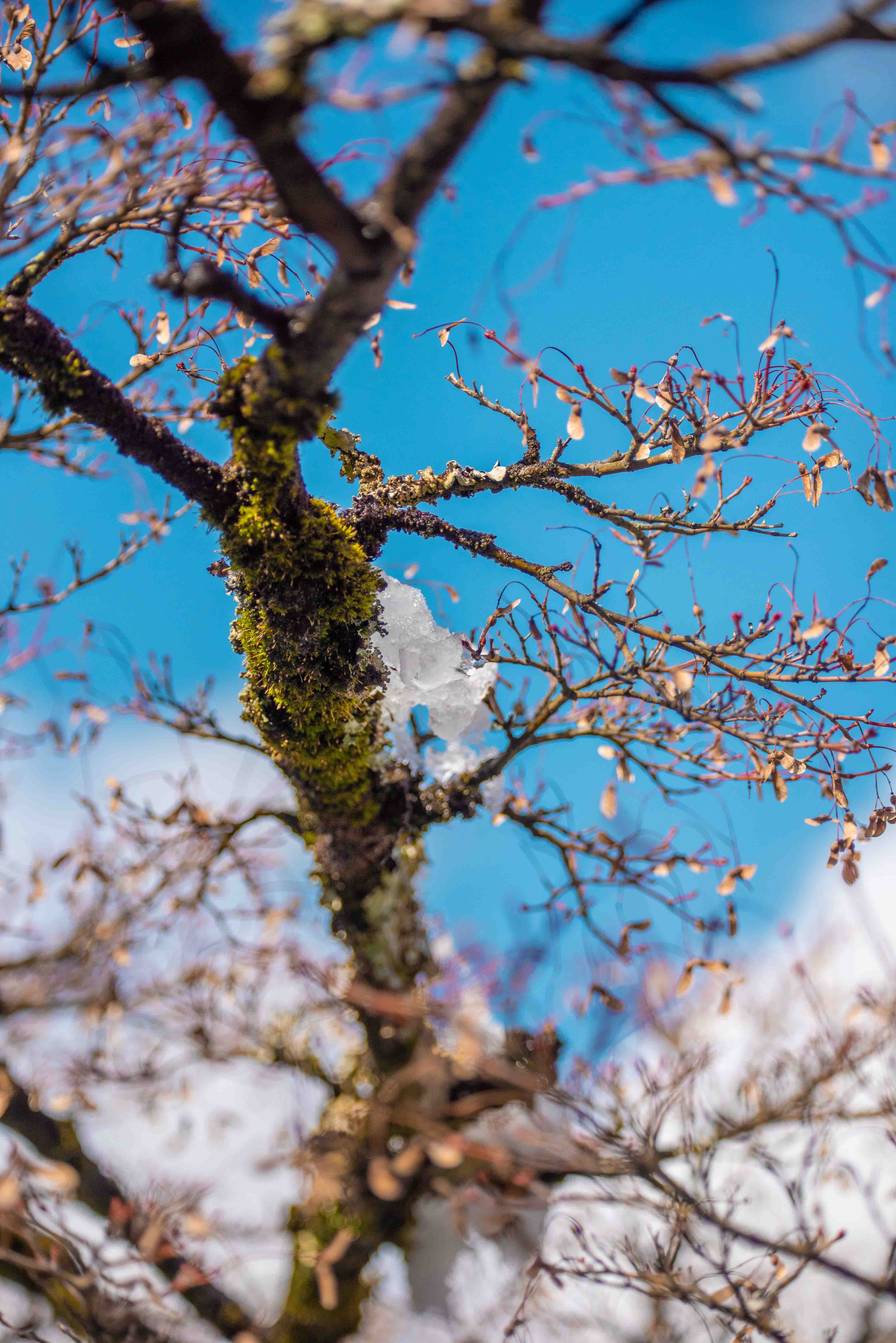 Abandoned houses near hill in Fukushima